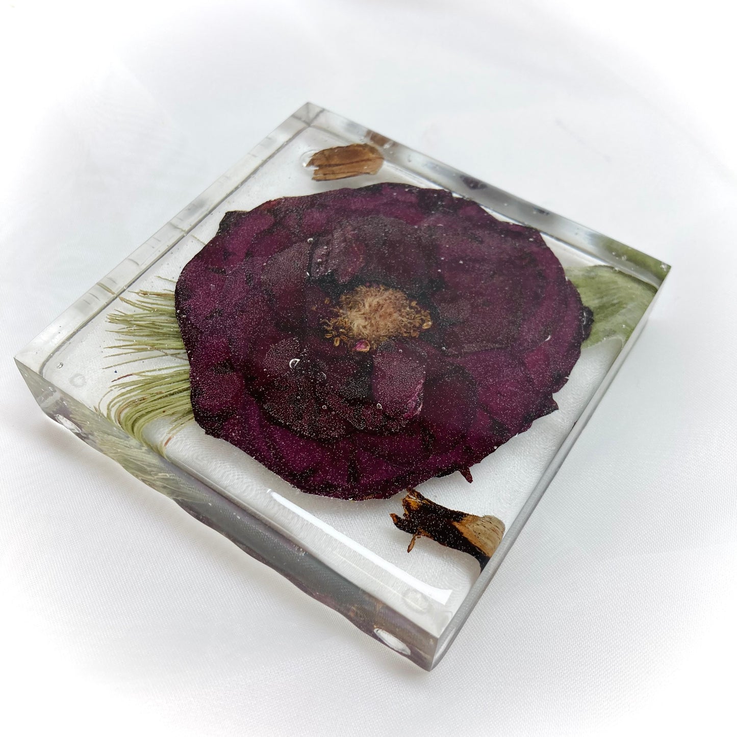 Flower Preservation 11cm square coasters