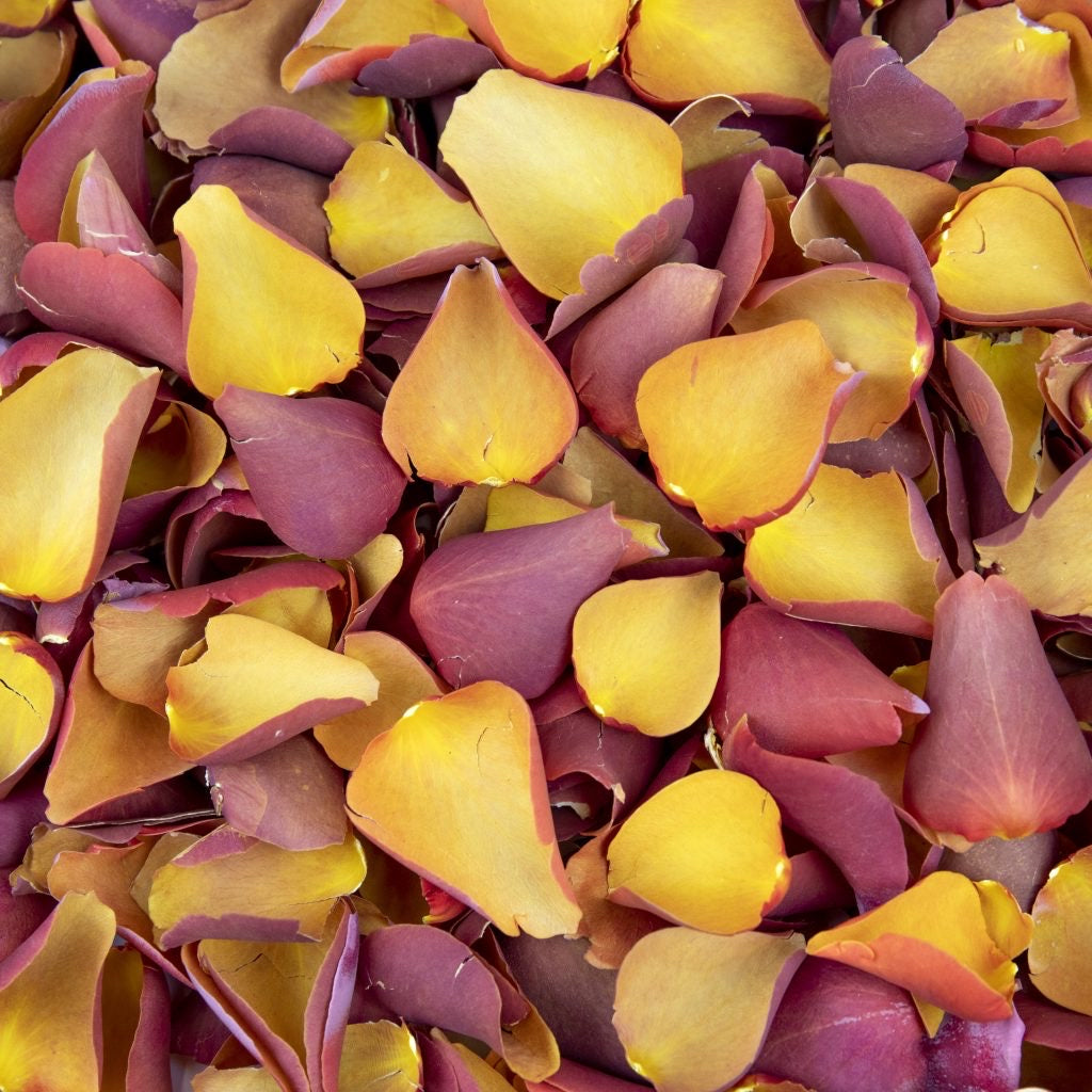 Natural Confetti - Two-Tone Rose Petals