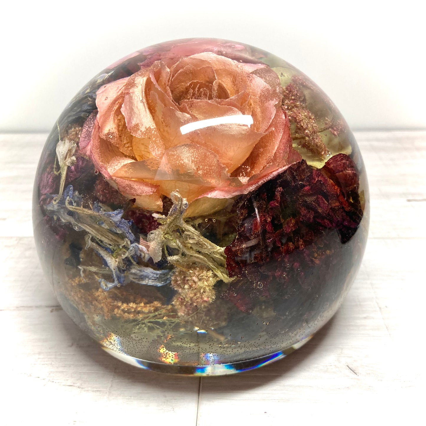 Flower Preservation 14cm flat bottom sphere