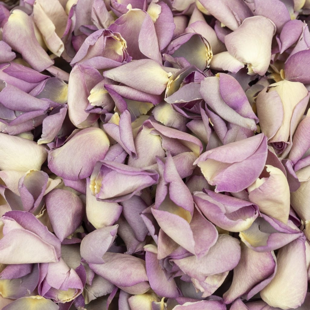 Natural Confetti - Two-Tone Rose Petals