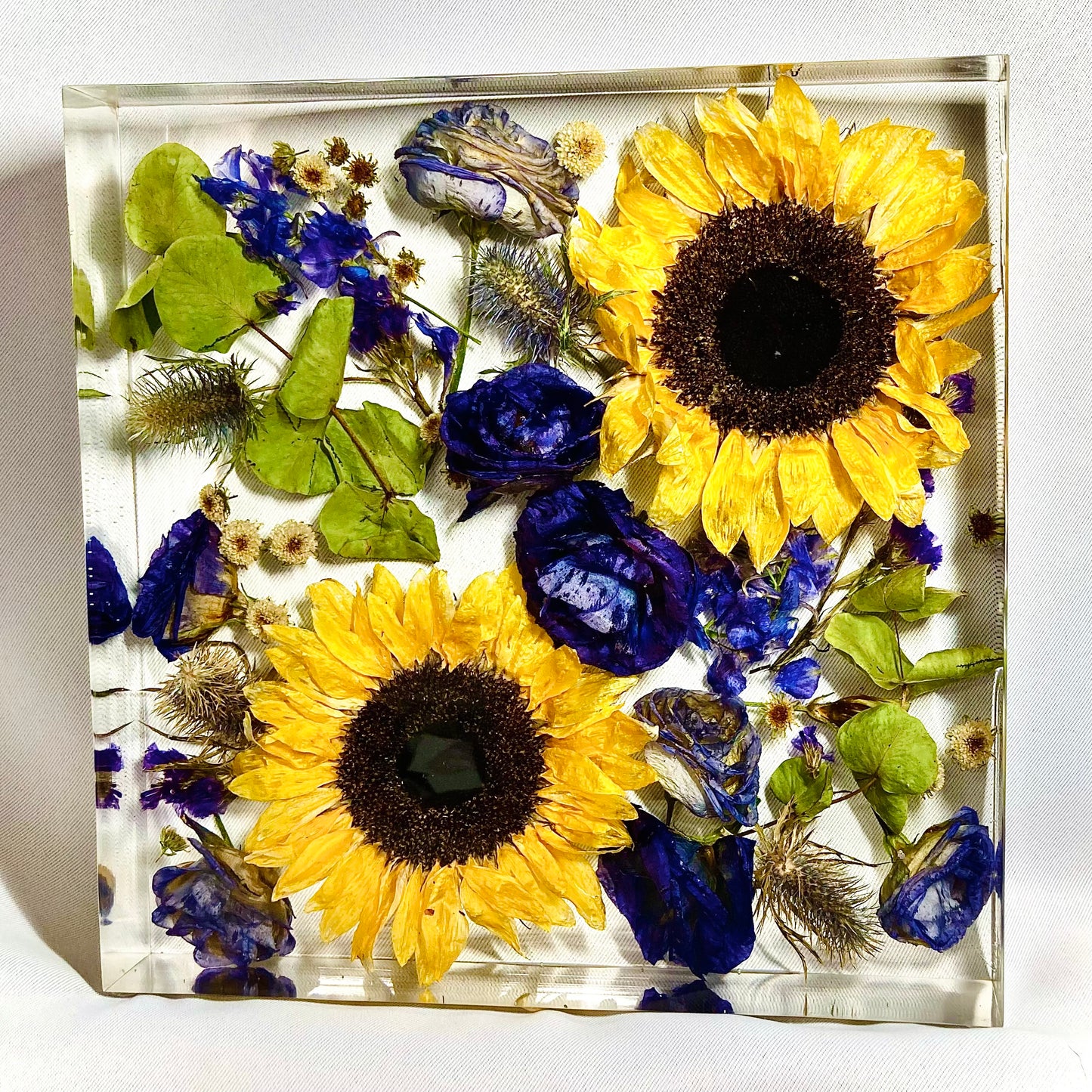 Flower Preservation 20cm display block