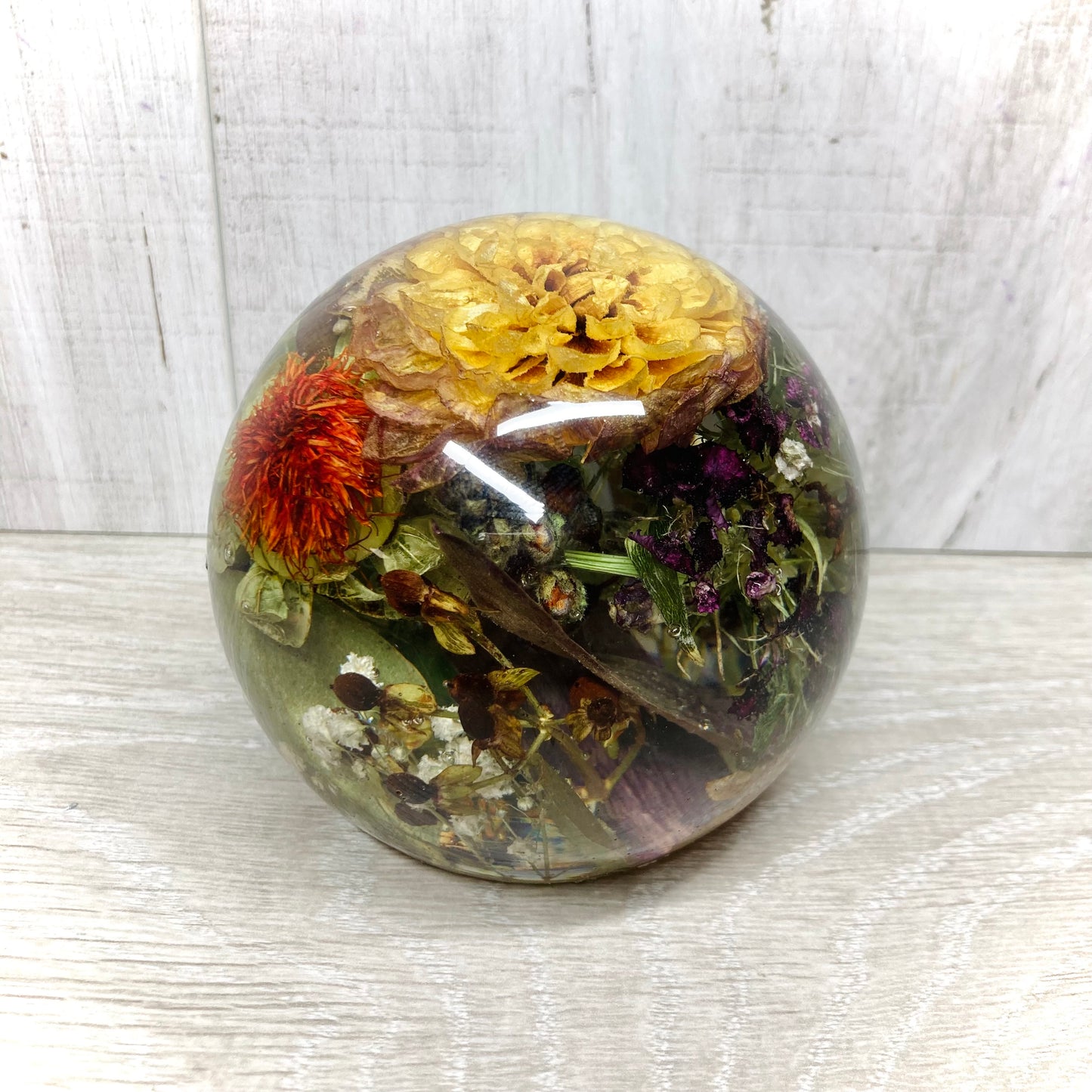 Flower Preservation 11cm flat bottom sphere