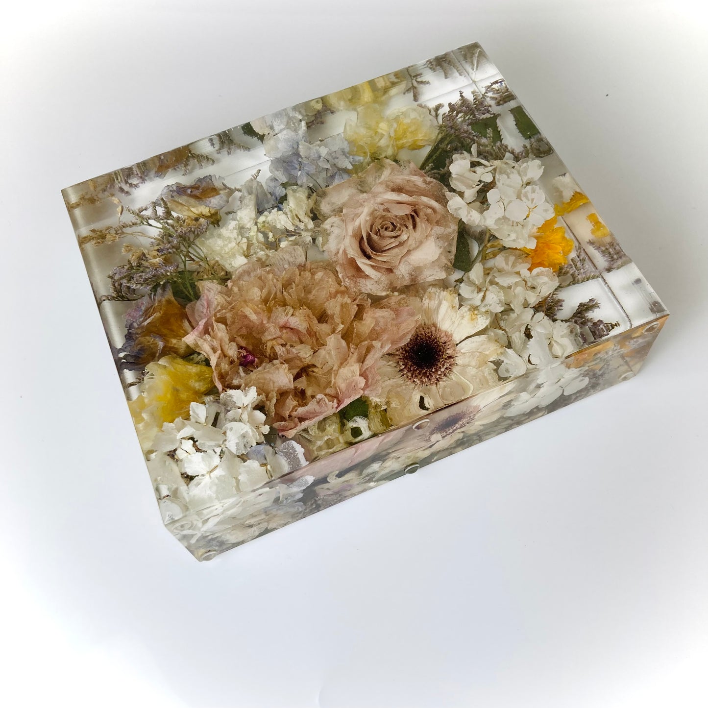 Flower Preservation 20x25cm display block