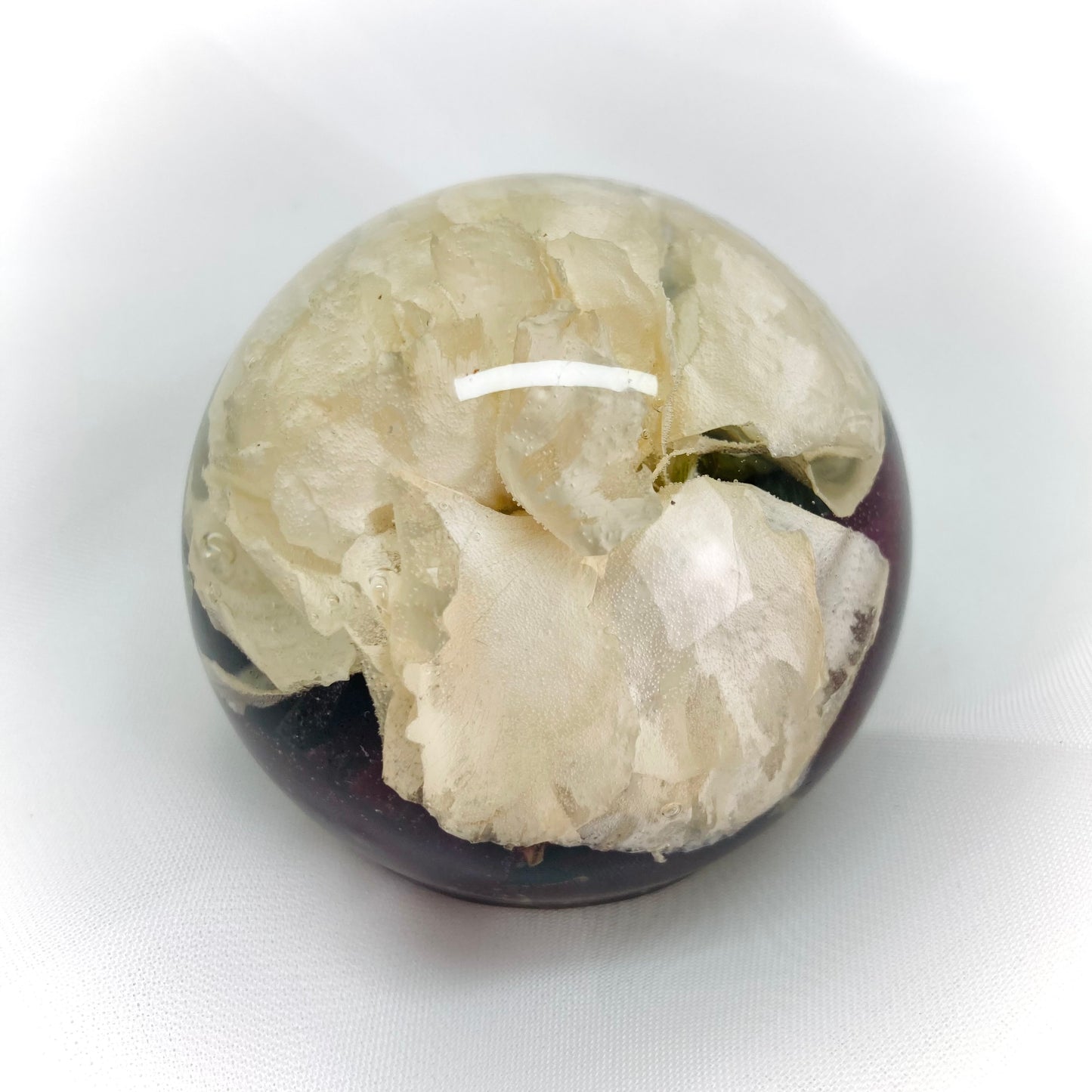 Flower Preservation 6cm flat bottom sphere