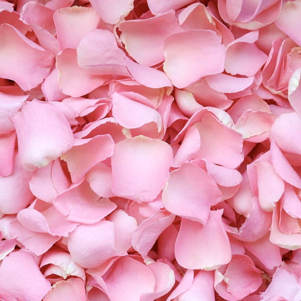 Natural Confetti - Rose Petals