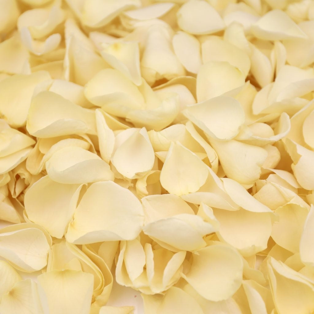 Natural Confetti - Rose Petals