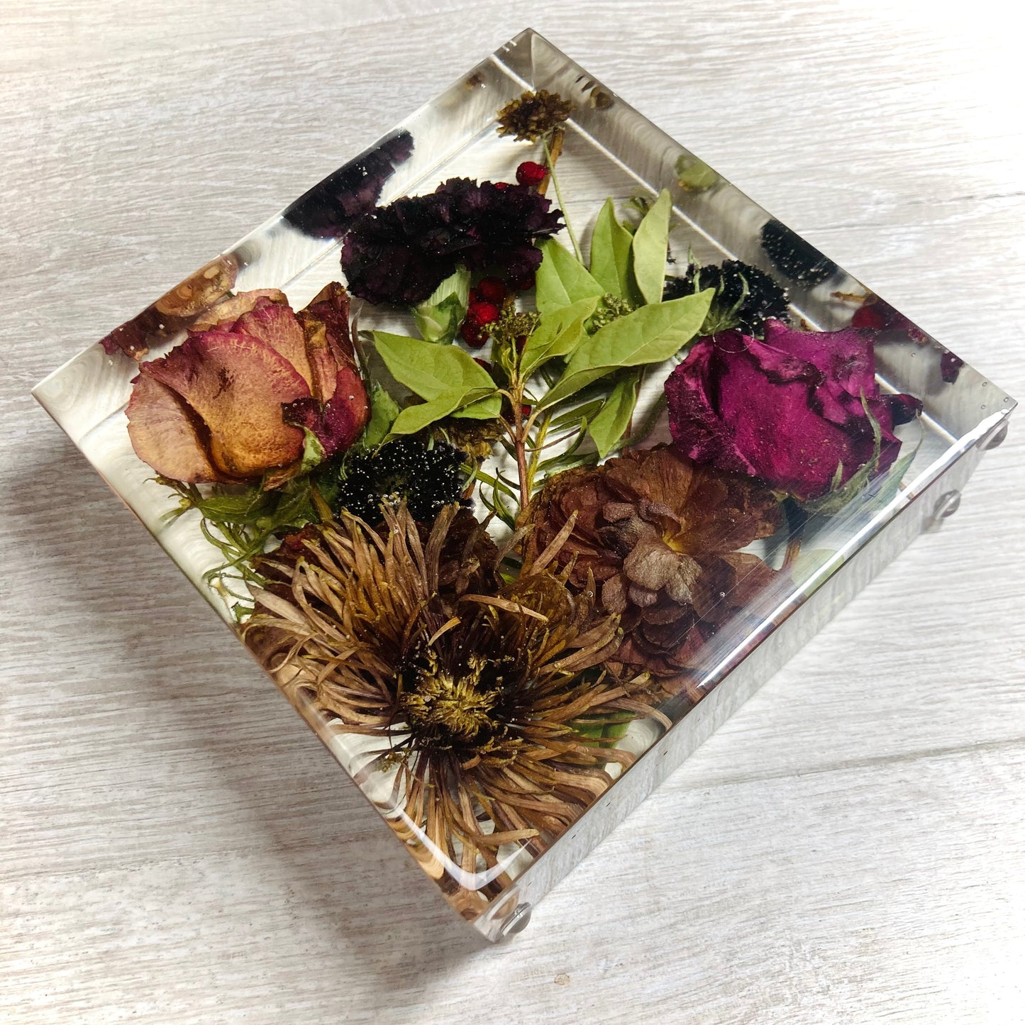 Flower Preservation 15cm display block