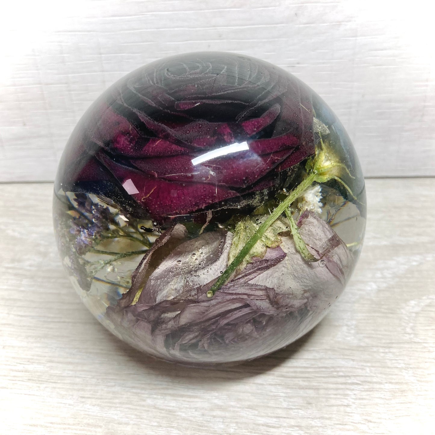Flower Preservation 11cm flat bottom sphere