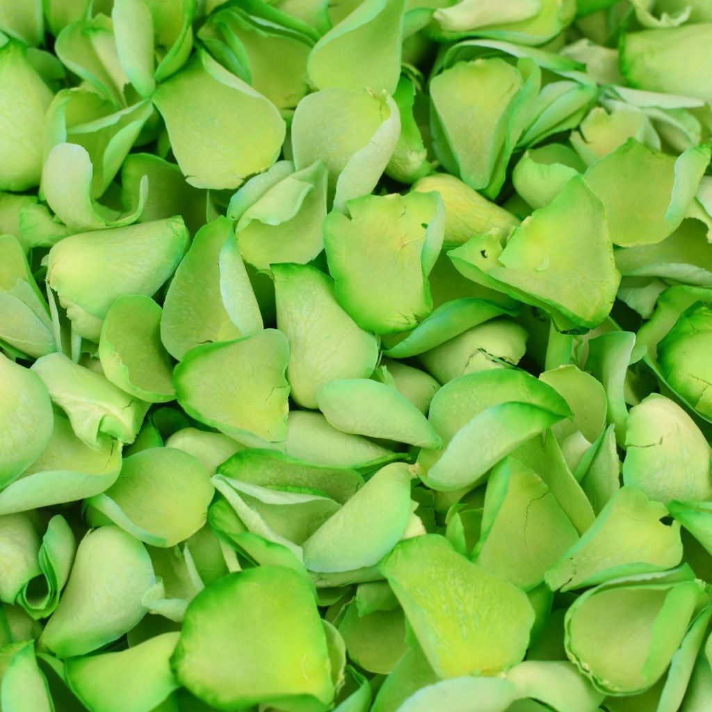 Natural Confetti - Dyed Rose Petals