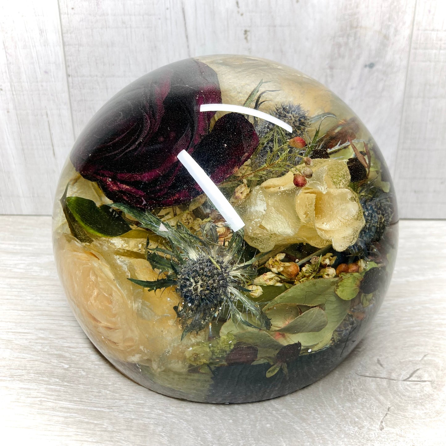 Flower Preservation 14cm flat bottom sphere