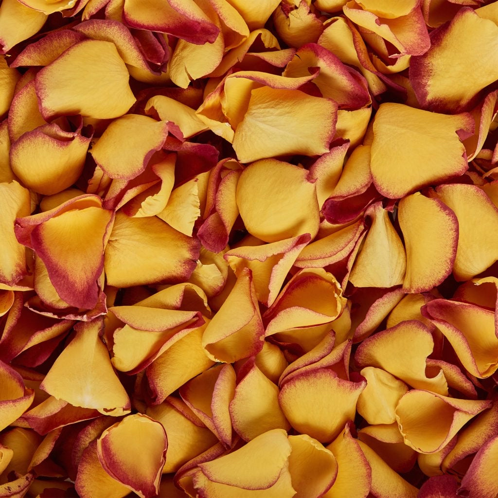 Natural Confetti - Two-Tone Rose Petals