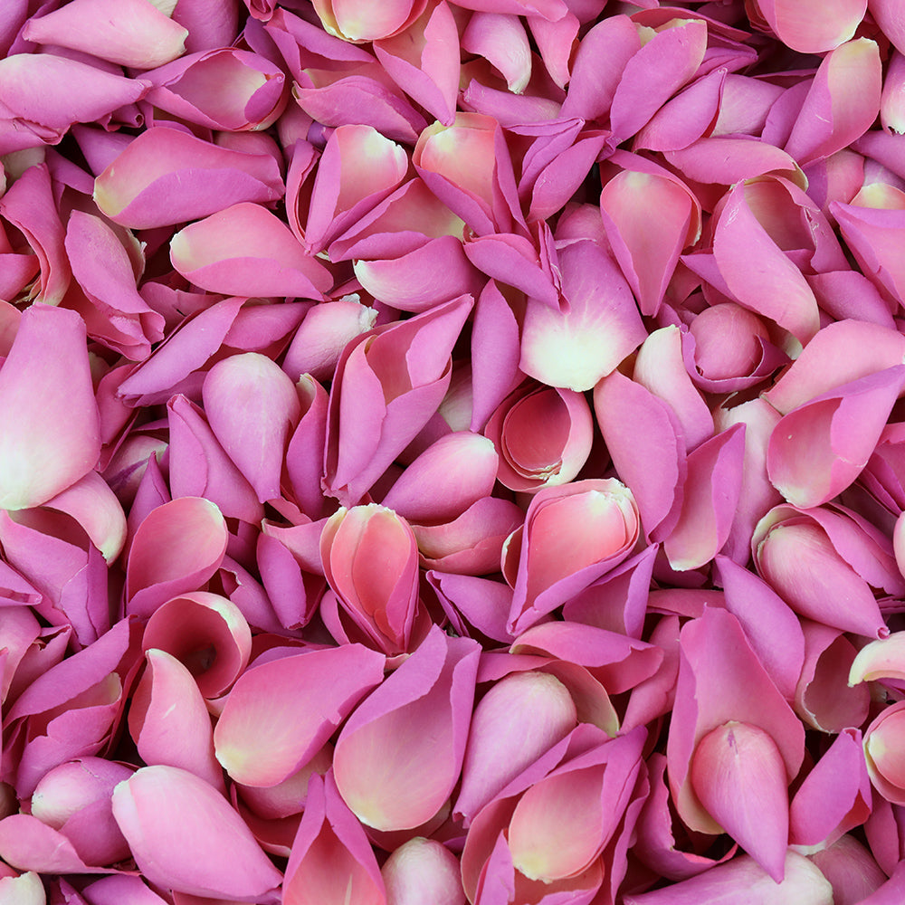 Natural Confetti - Rose Petals
