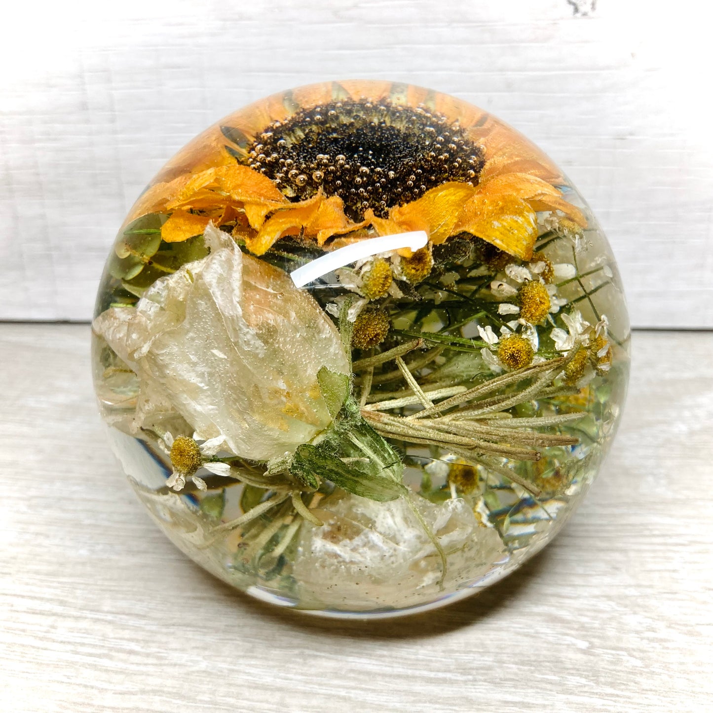 Flower Preservation 11cm flat bottom sphere