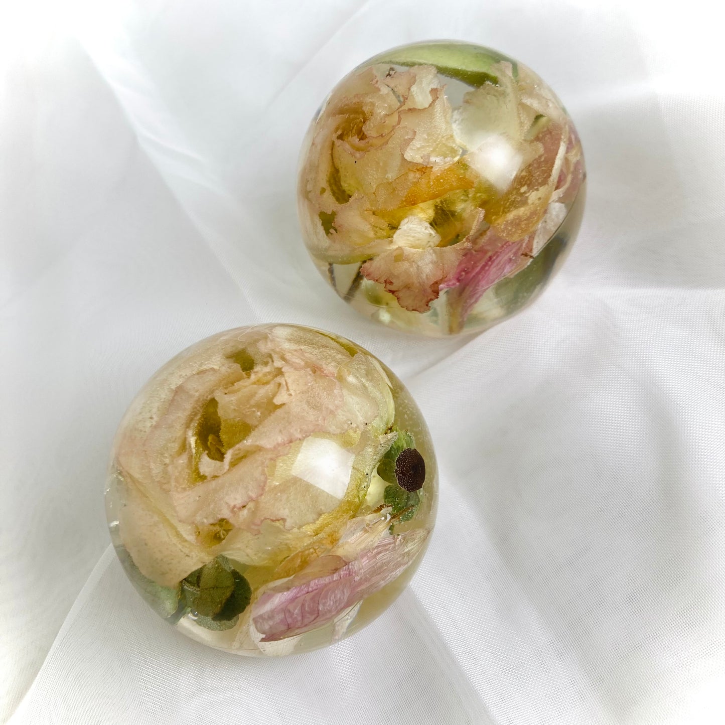 Flower Preservation 6cm flat bottom sphere