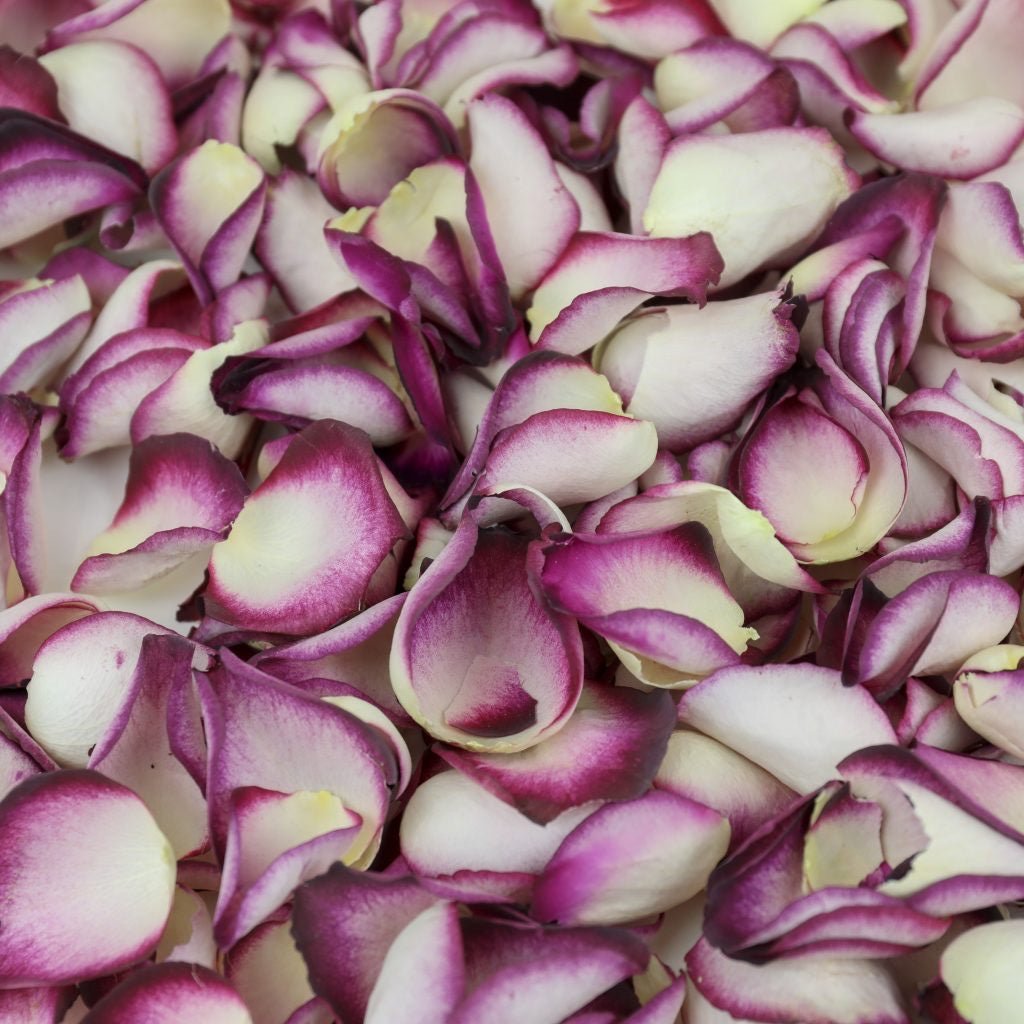 Natural Confetti - Two-Tone Rose Petals