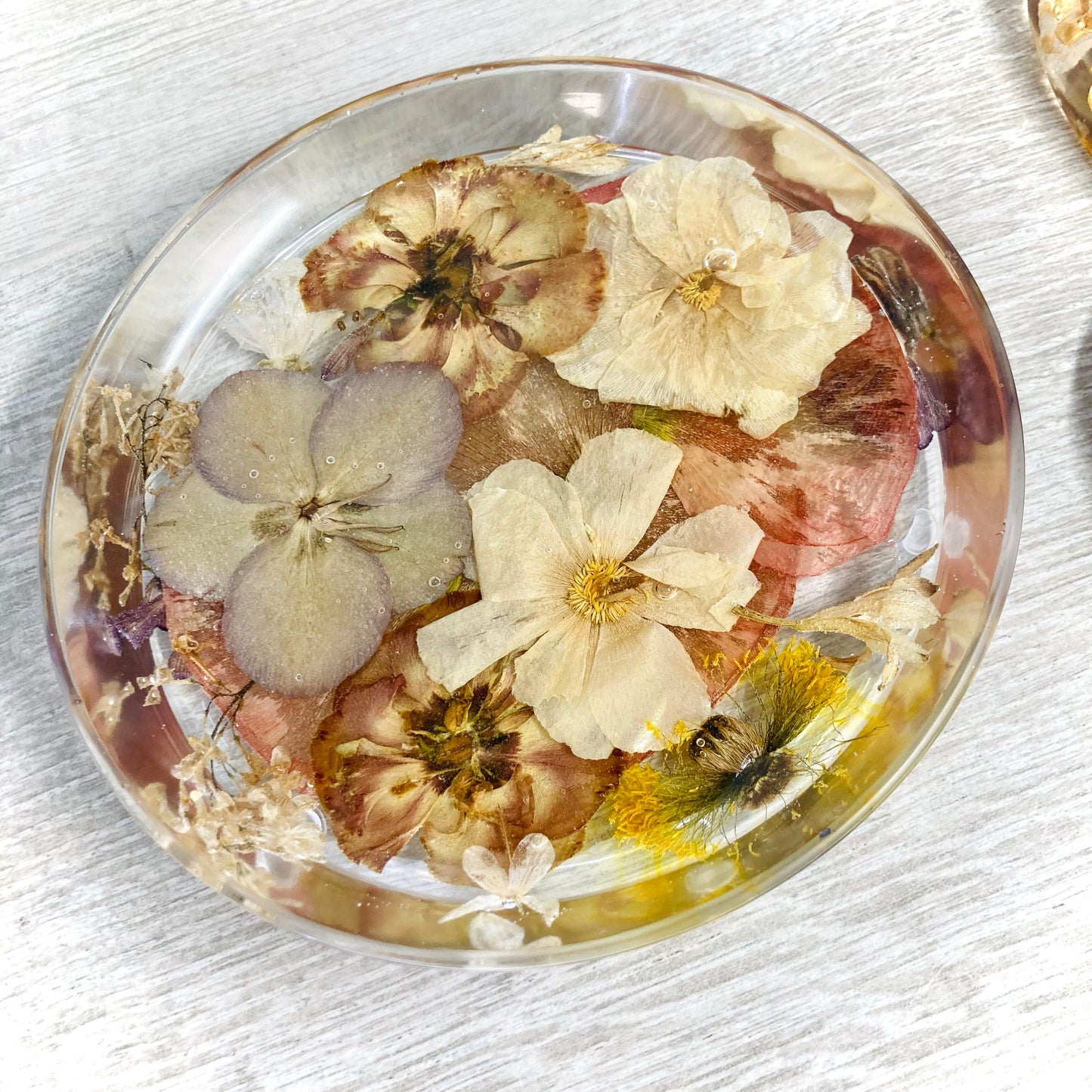 Flower Preservation round jewellery dish