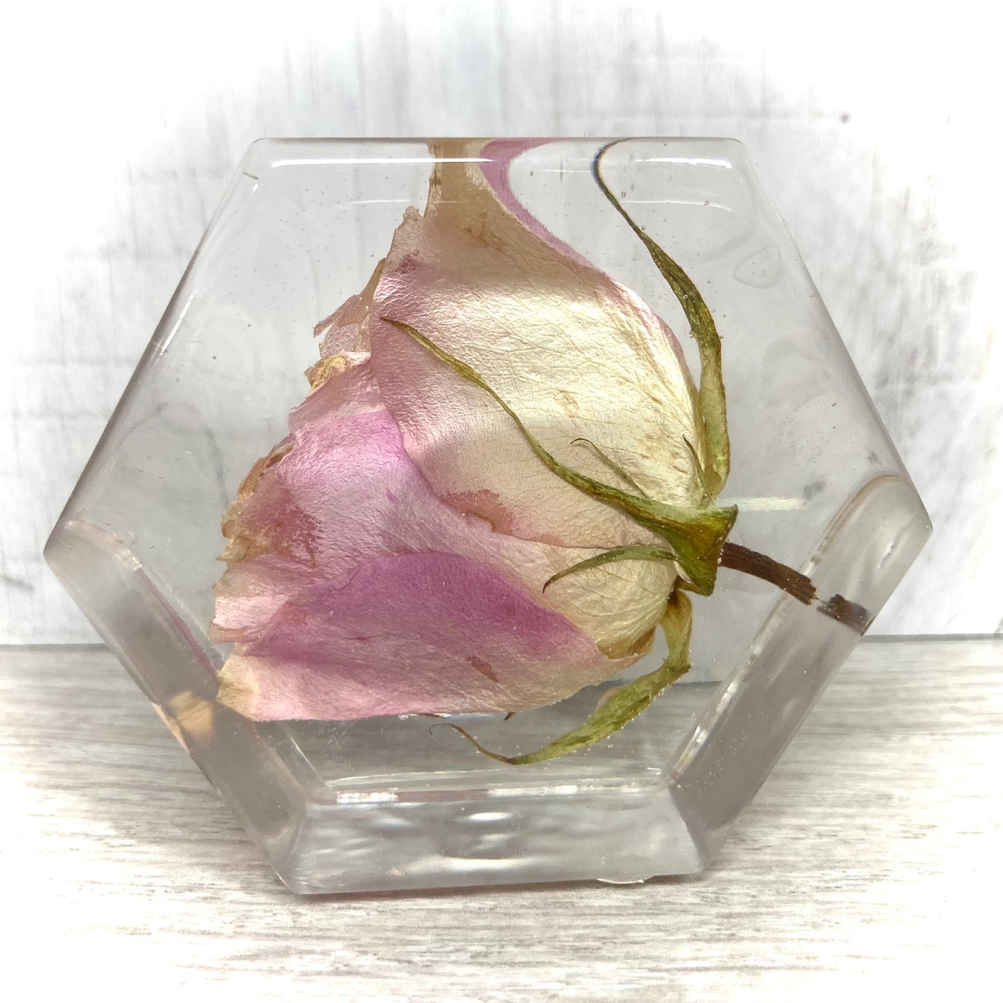 Flower Preservation 7cm mini hexagon ornament