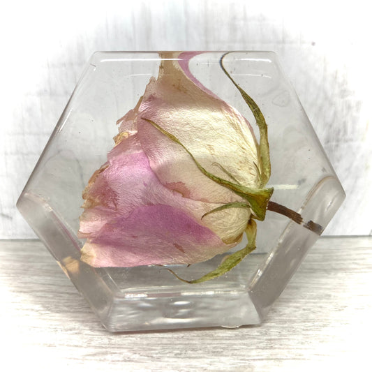 Flower Preservation 7cm mini hexagon ornament