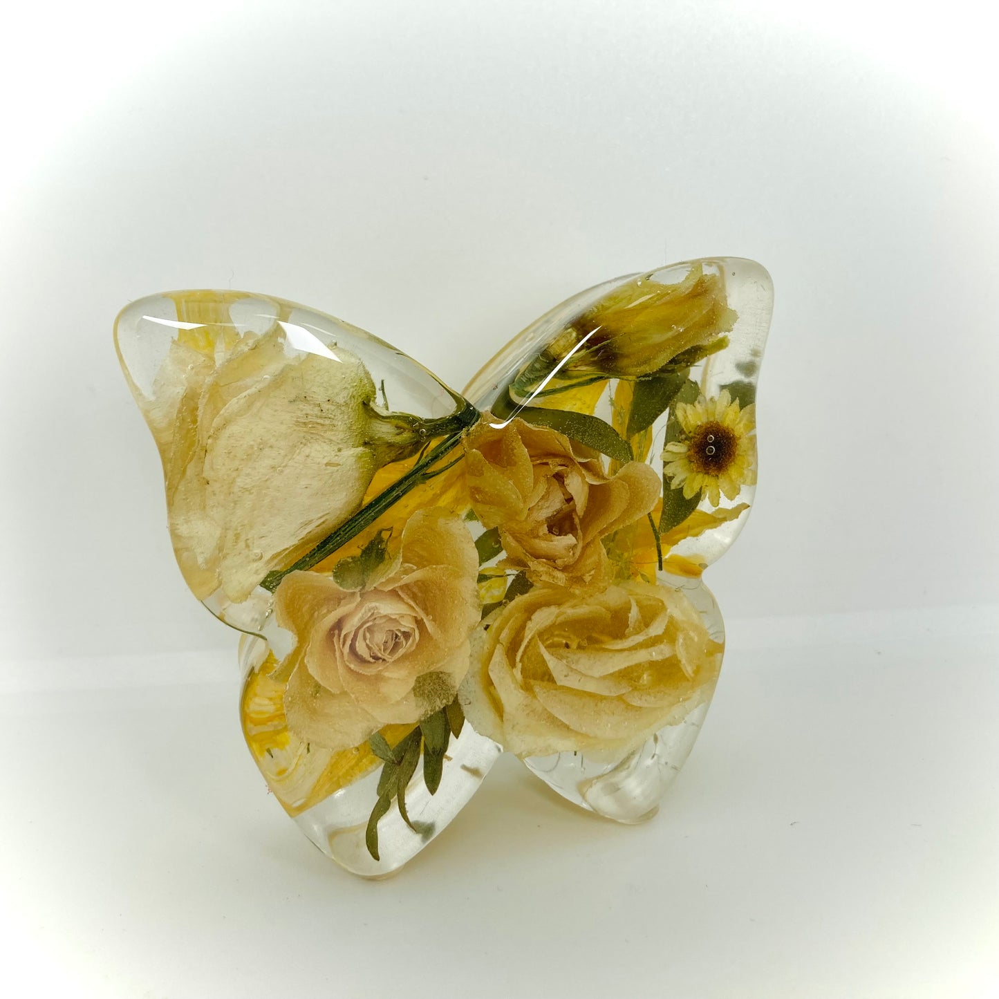 Flower Preservation butterfly