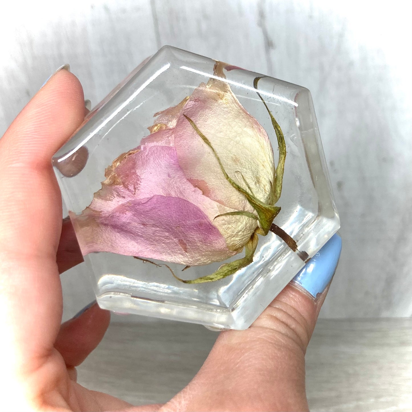 Flower Preservation 7cm mini hexagon ornament