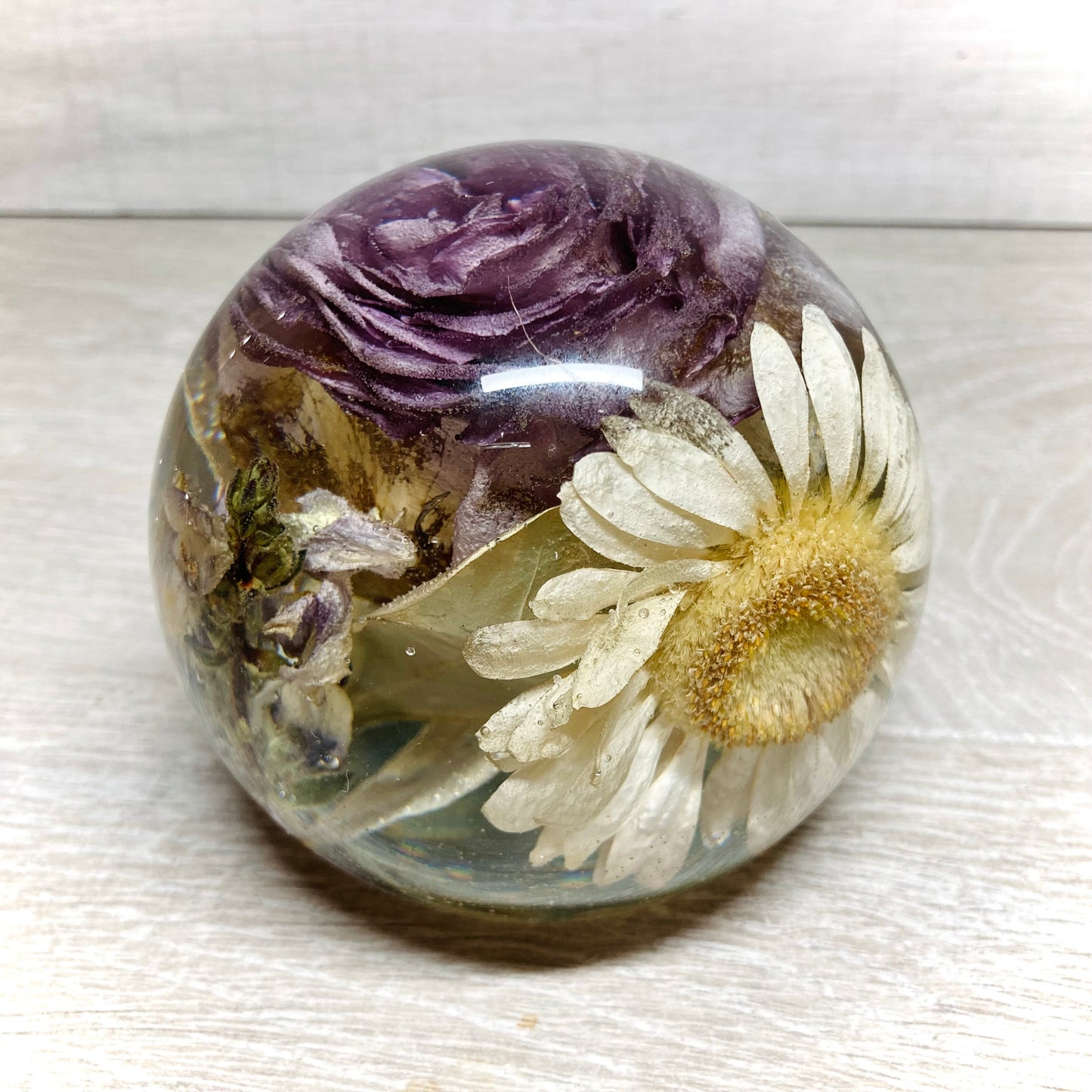Flower Preservation 11cm flat bottom sphere