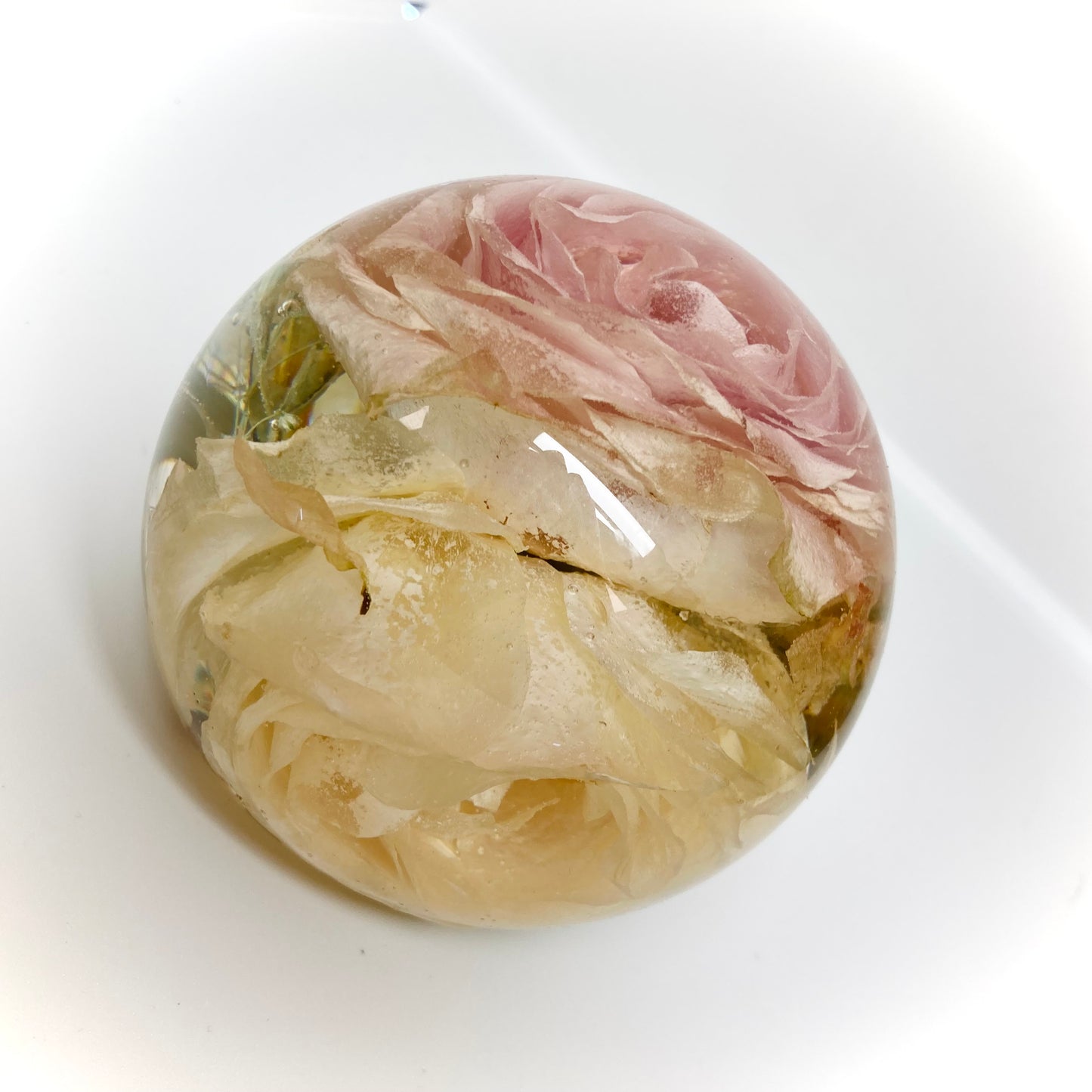 Flower Preservation 11cm flat bottom sphere