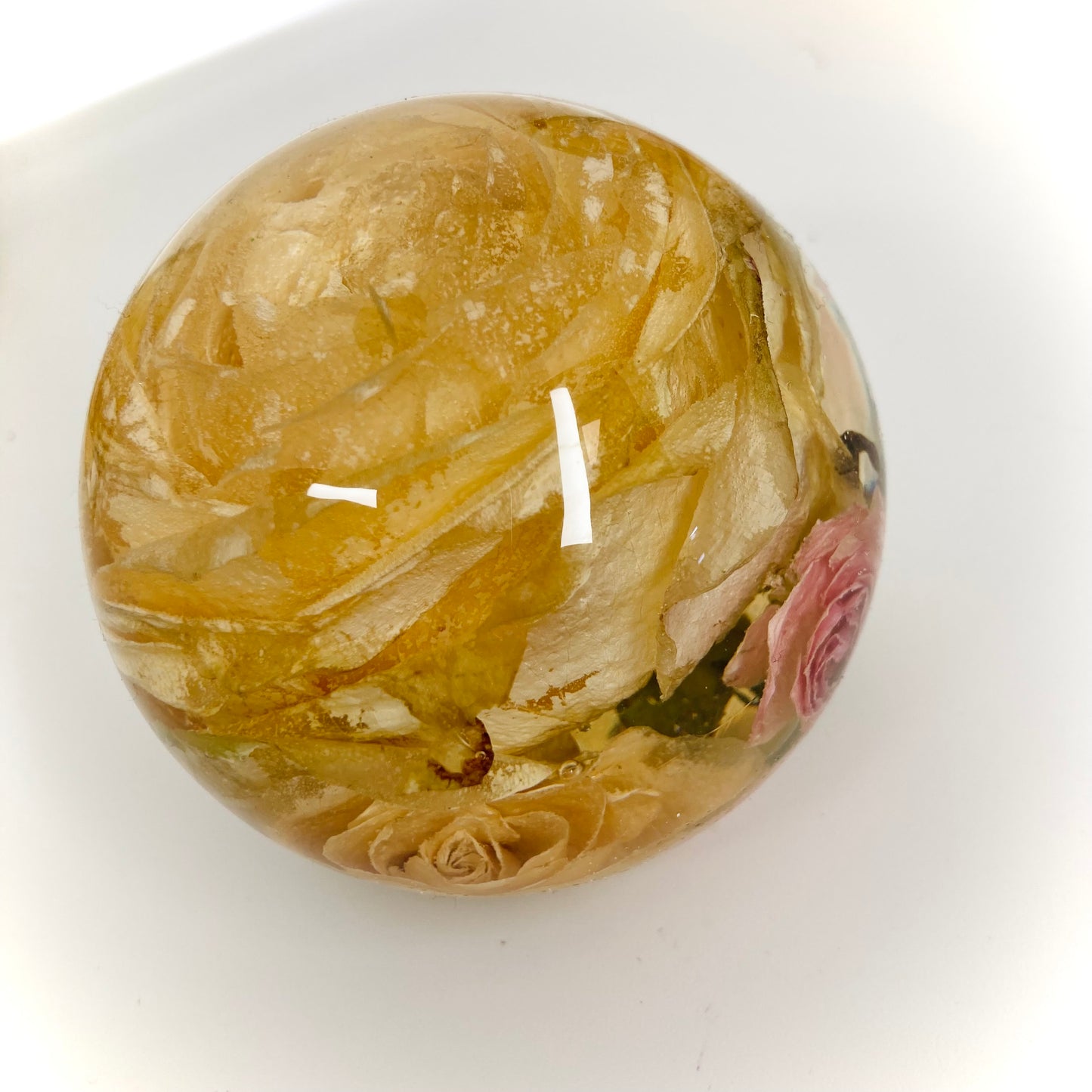 Flower Preservation 11cm flat bottom sphere