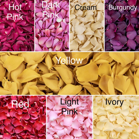 Natural Confetti - Rose Petals