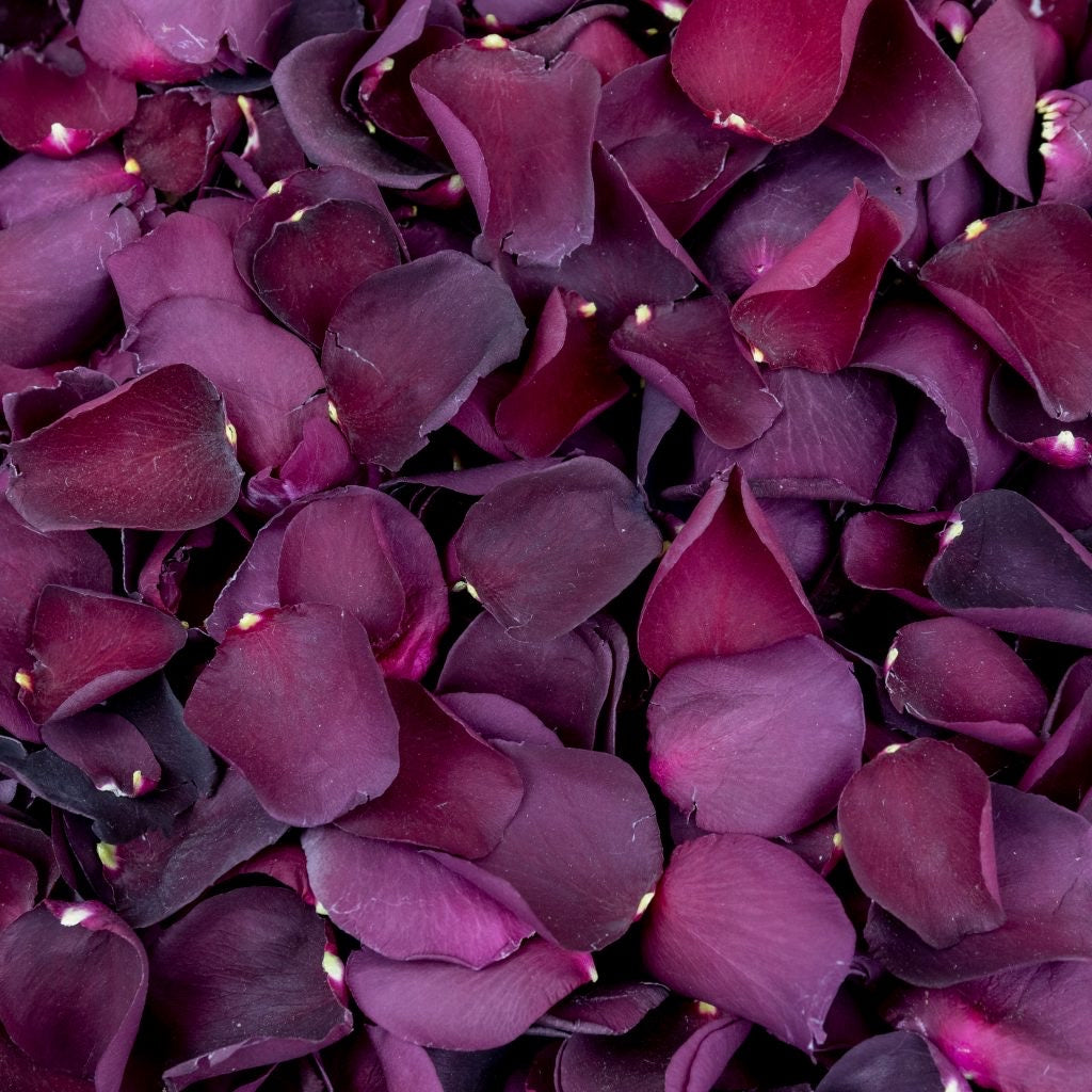 Natural Confetti - Rose Petals