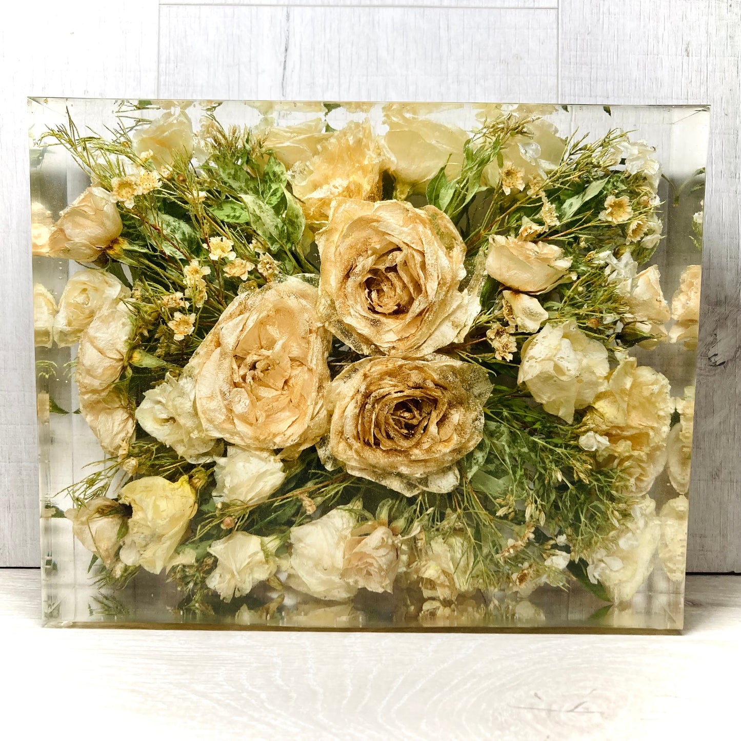 Flower Preservation 20x25cm display block