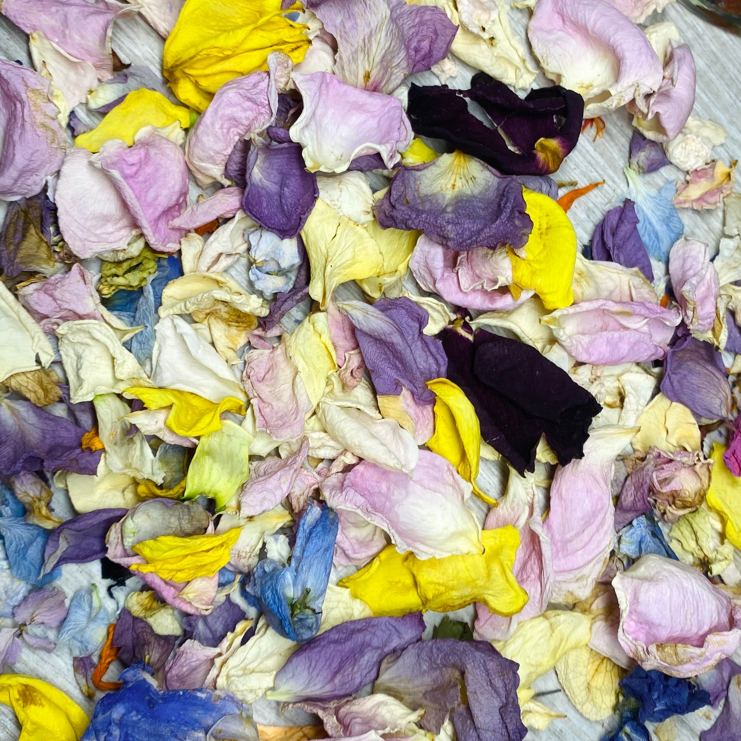 Natural Confetti - seasonal mix