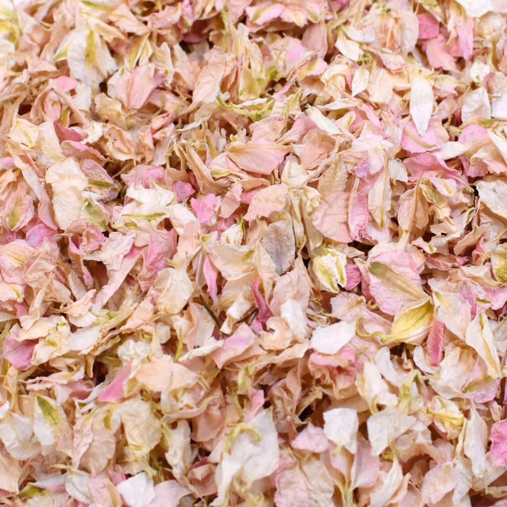 Natural Confetti - Mixed Delphinium
