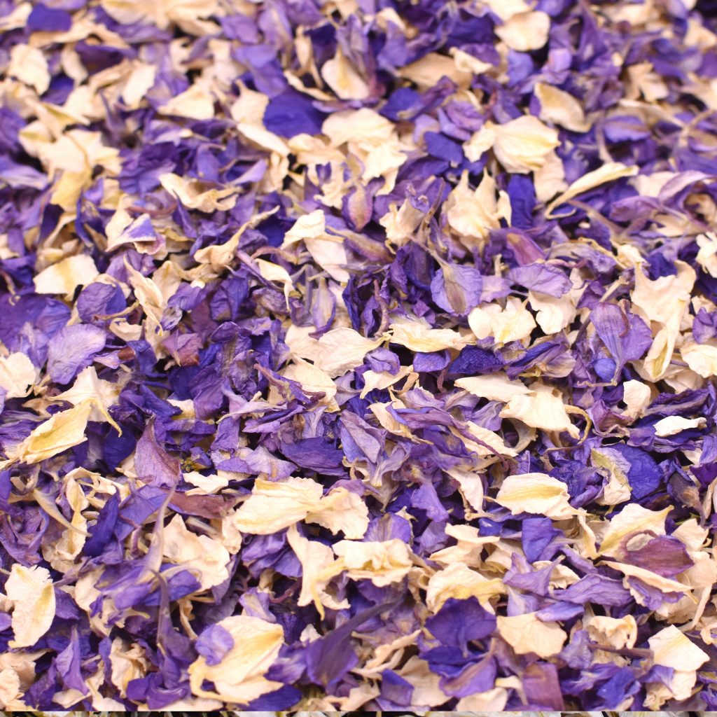 Natural Confetti - Mixed Delphinium
