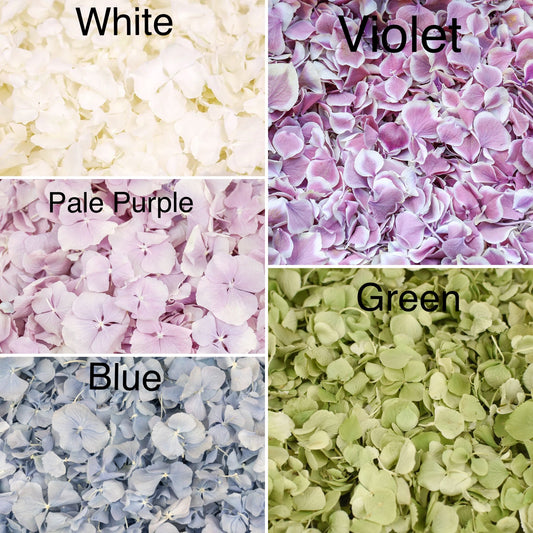 Natural Confetti - Hydrangea