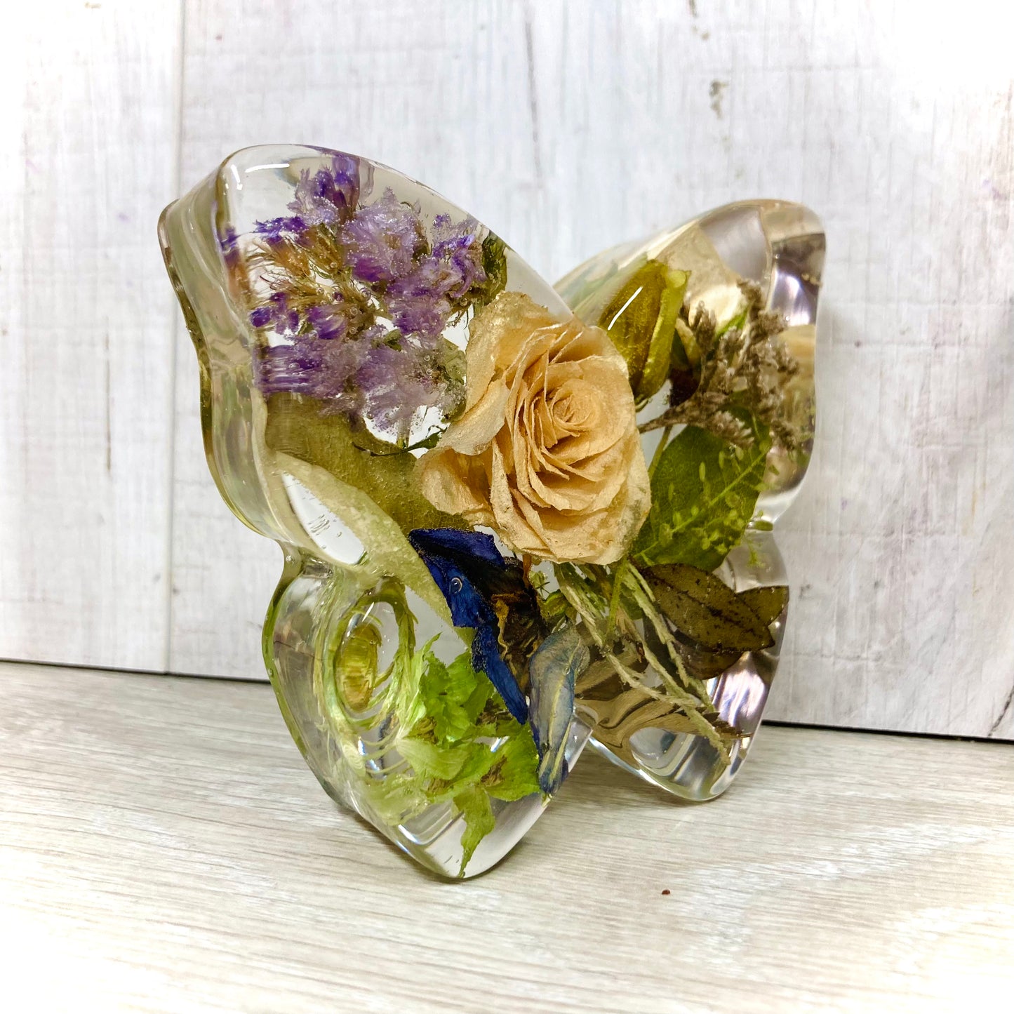 Flower Preservation butterfly