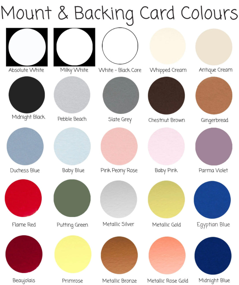 Flower Preservation medium frame