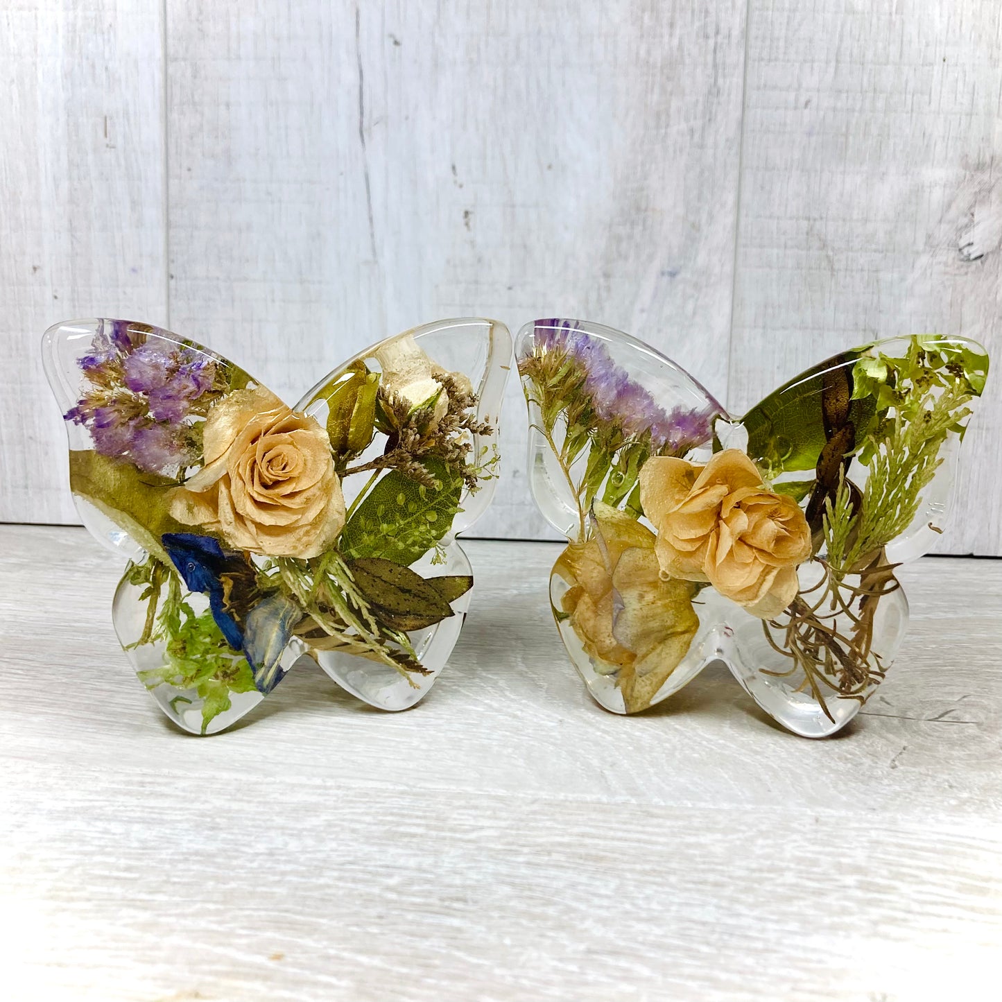 Flower Preservation butterfly