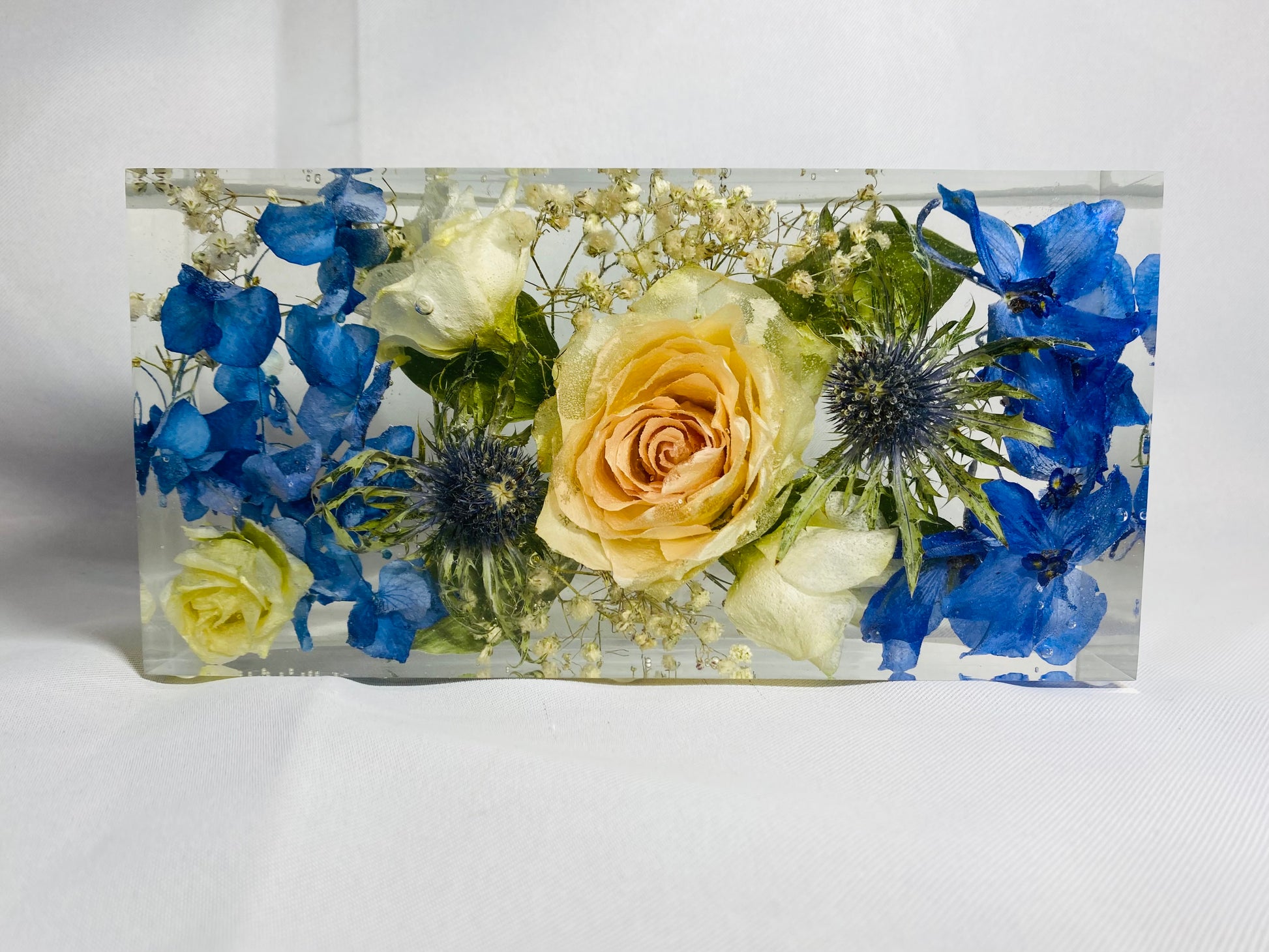 Flower Preservation 20x10cm display block