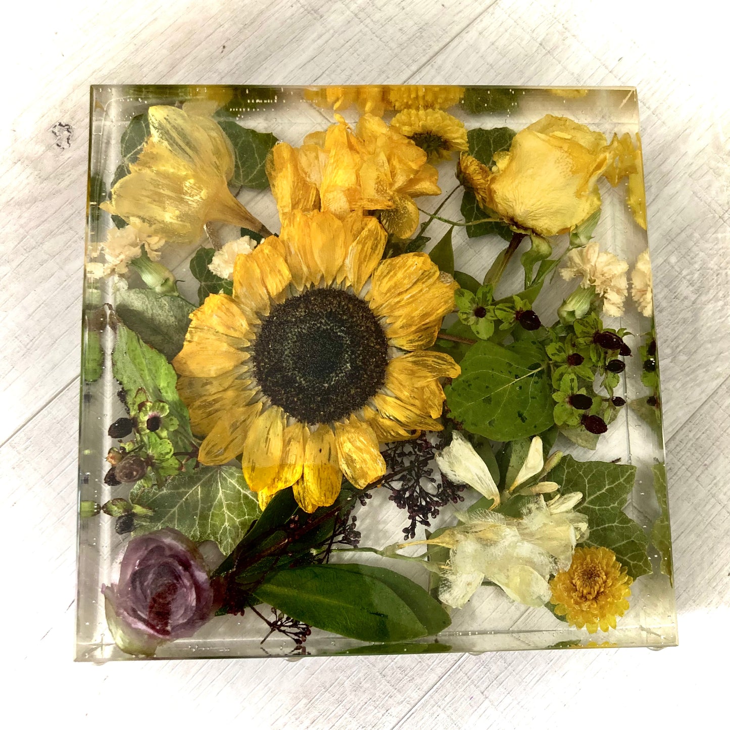 Flower Preservation 20cm display block