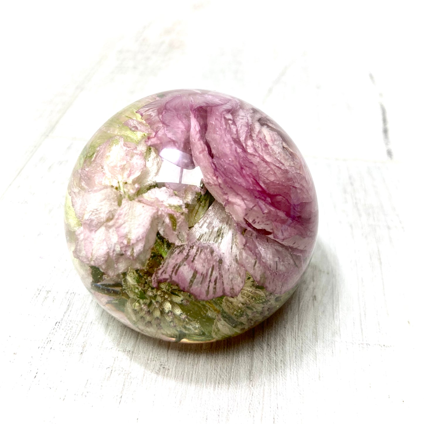 Flower Preservation 6cm flat bottom sphere