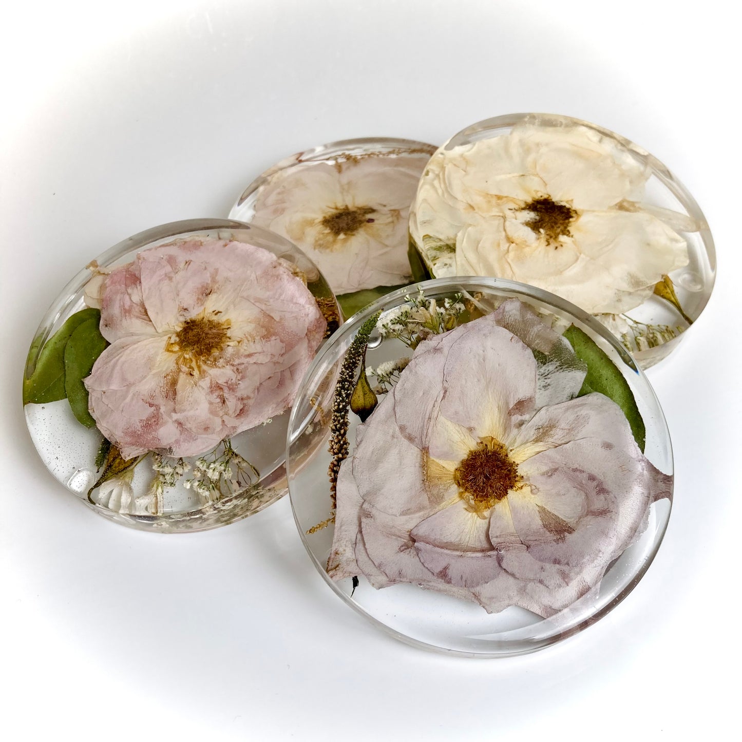 Flower Preservation 11cm coasters