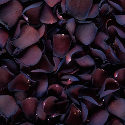 Natural Confetti - Dyed Rose Petals