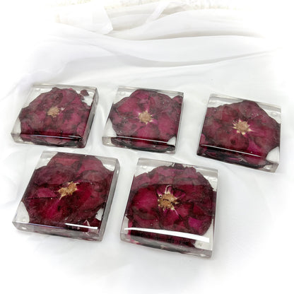 Flower Preservation 11cm square coasters