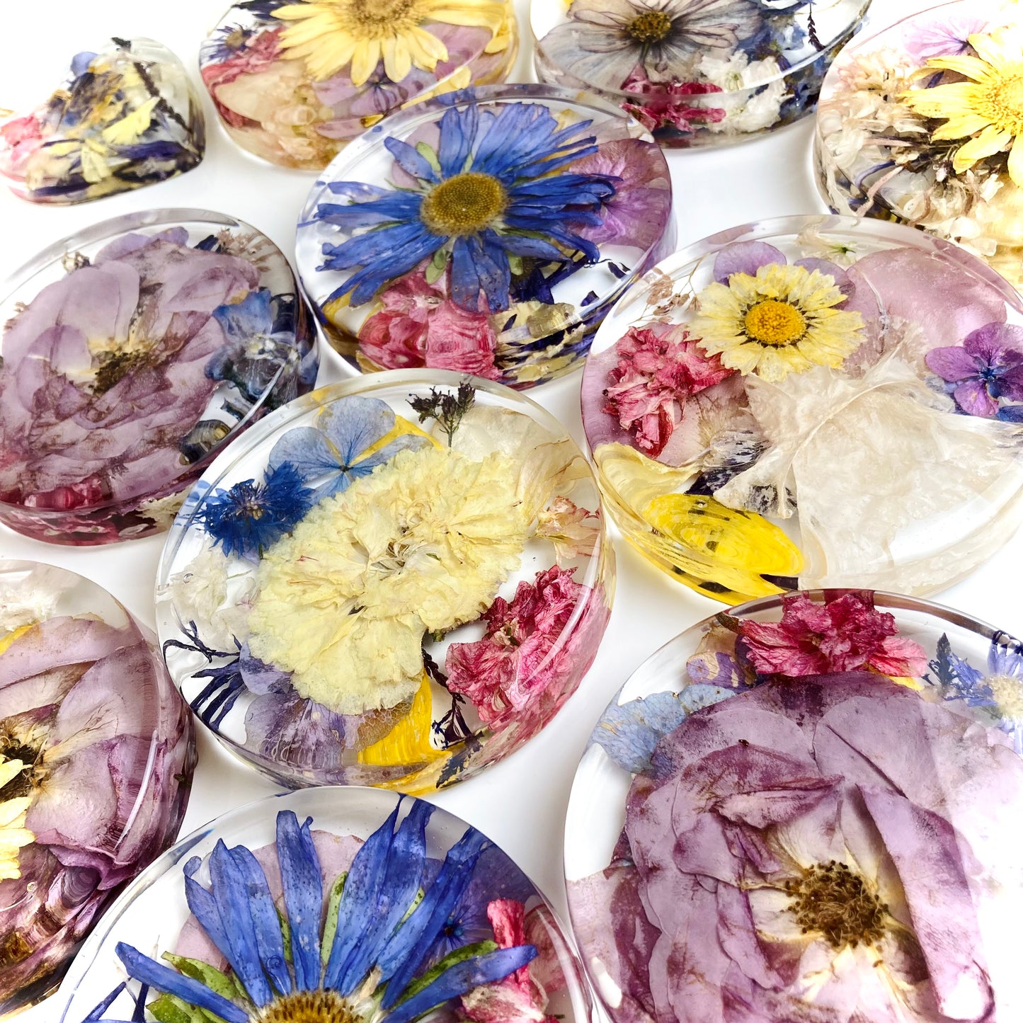 Flower Preservation 11cm coasters