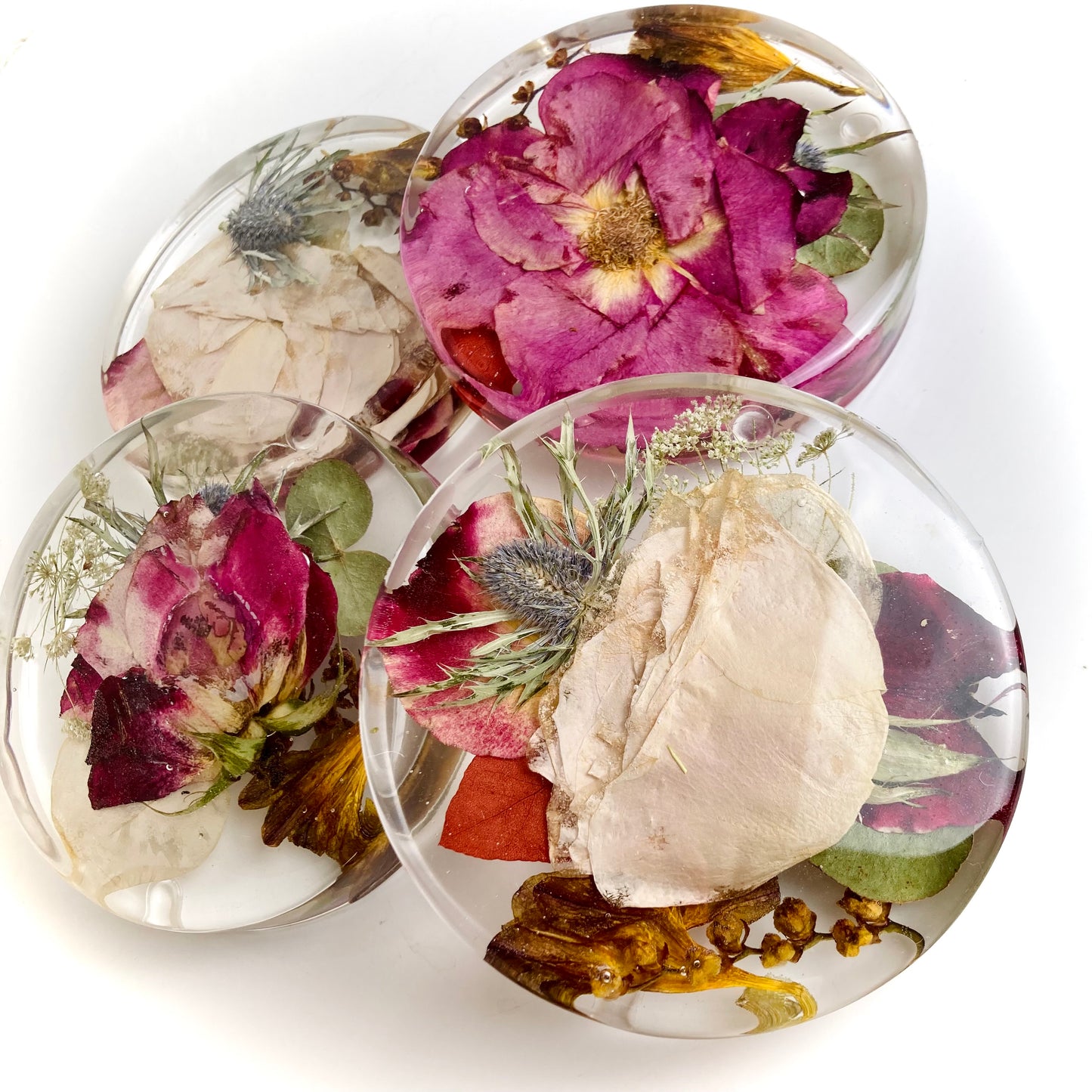 Flower Preservation 11cm coasters