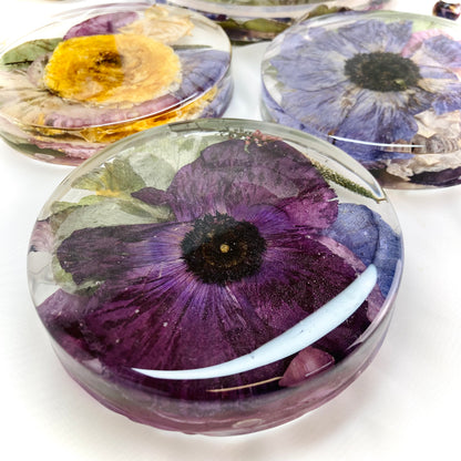 Flower Preservation 11cm coasters