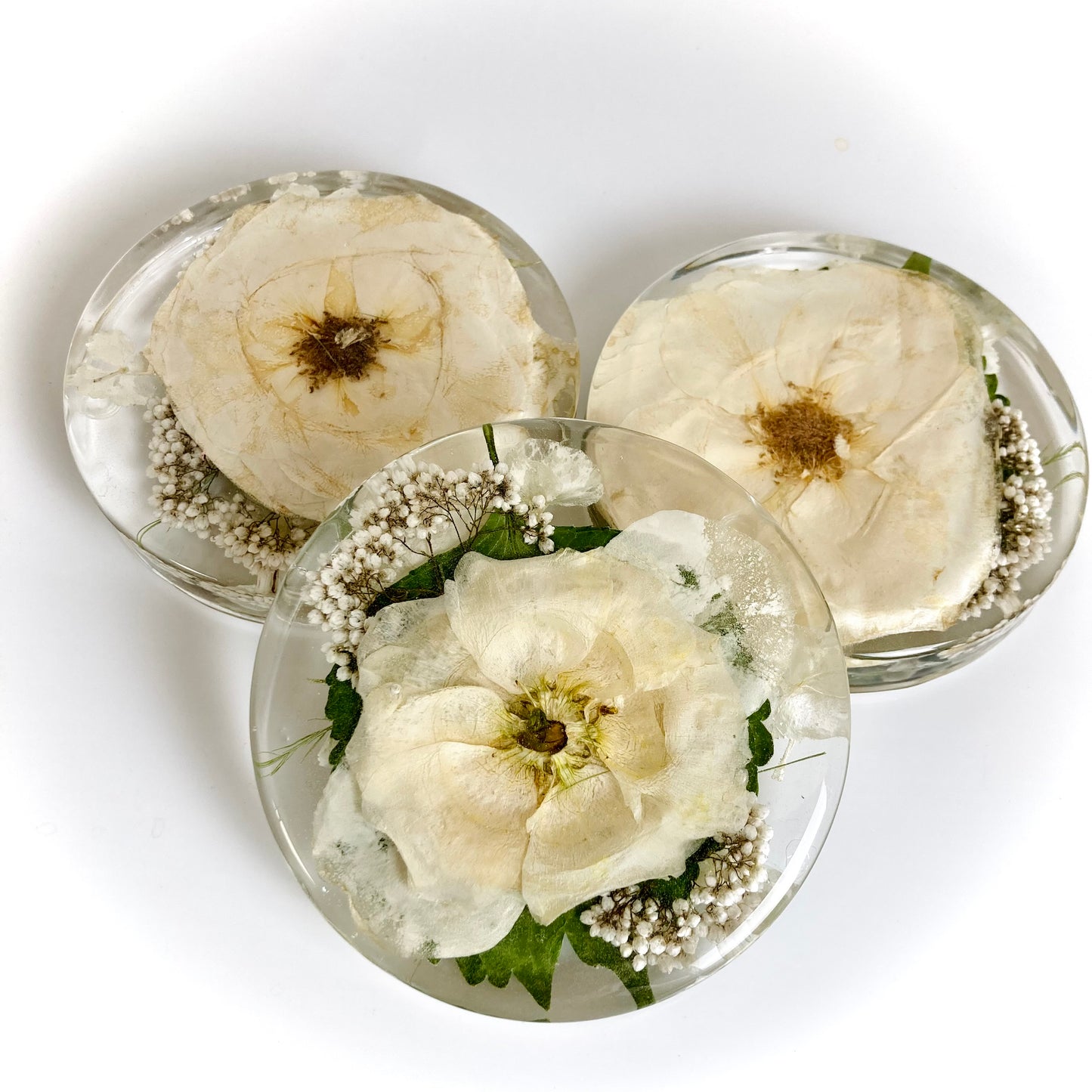Flower Preservation 11cm coasters