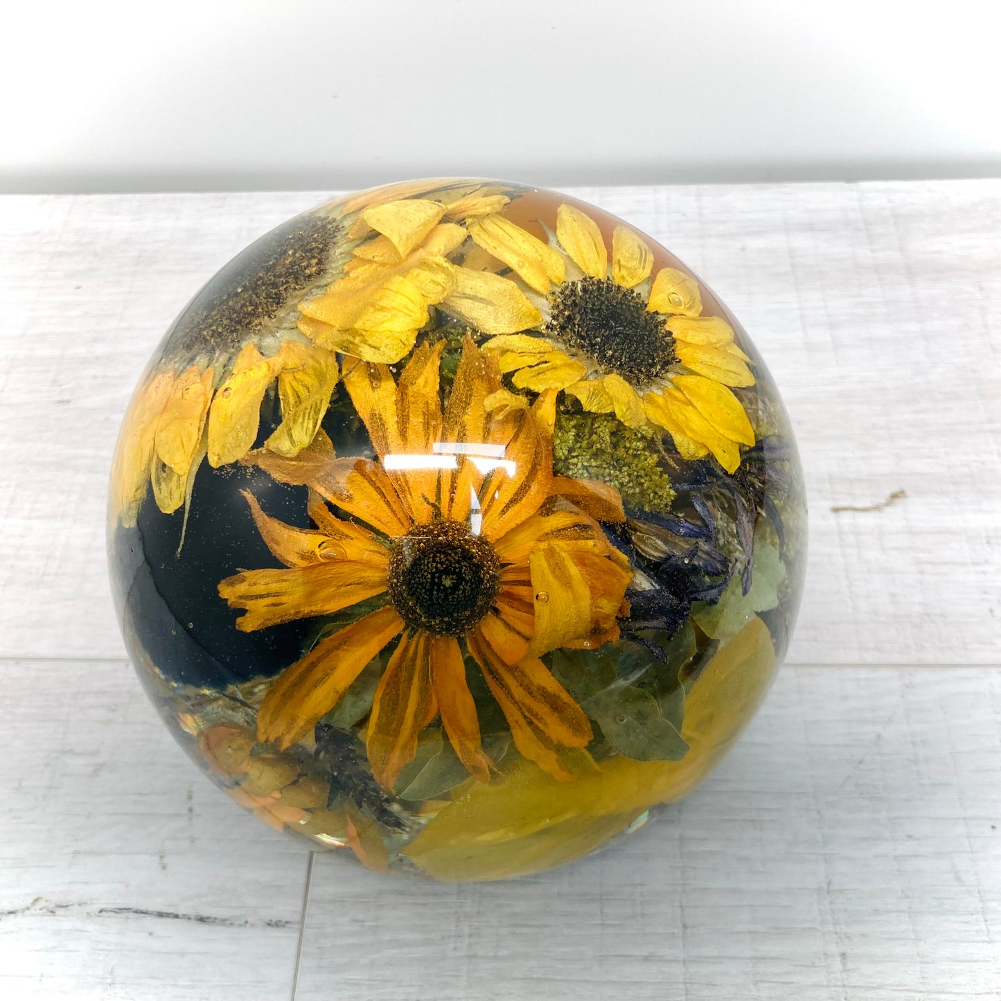 Flower Preservation 14cm flat bottom sphere