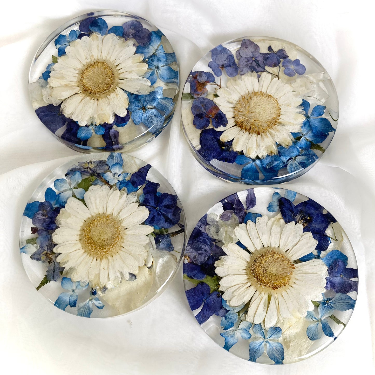 Flower Preservation 11cm coasters