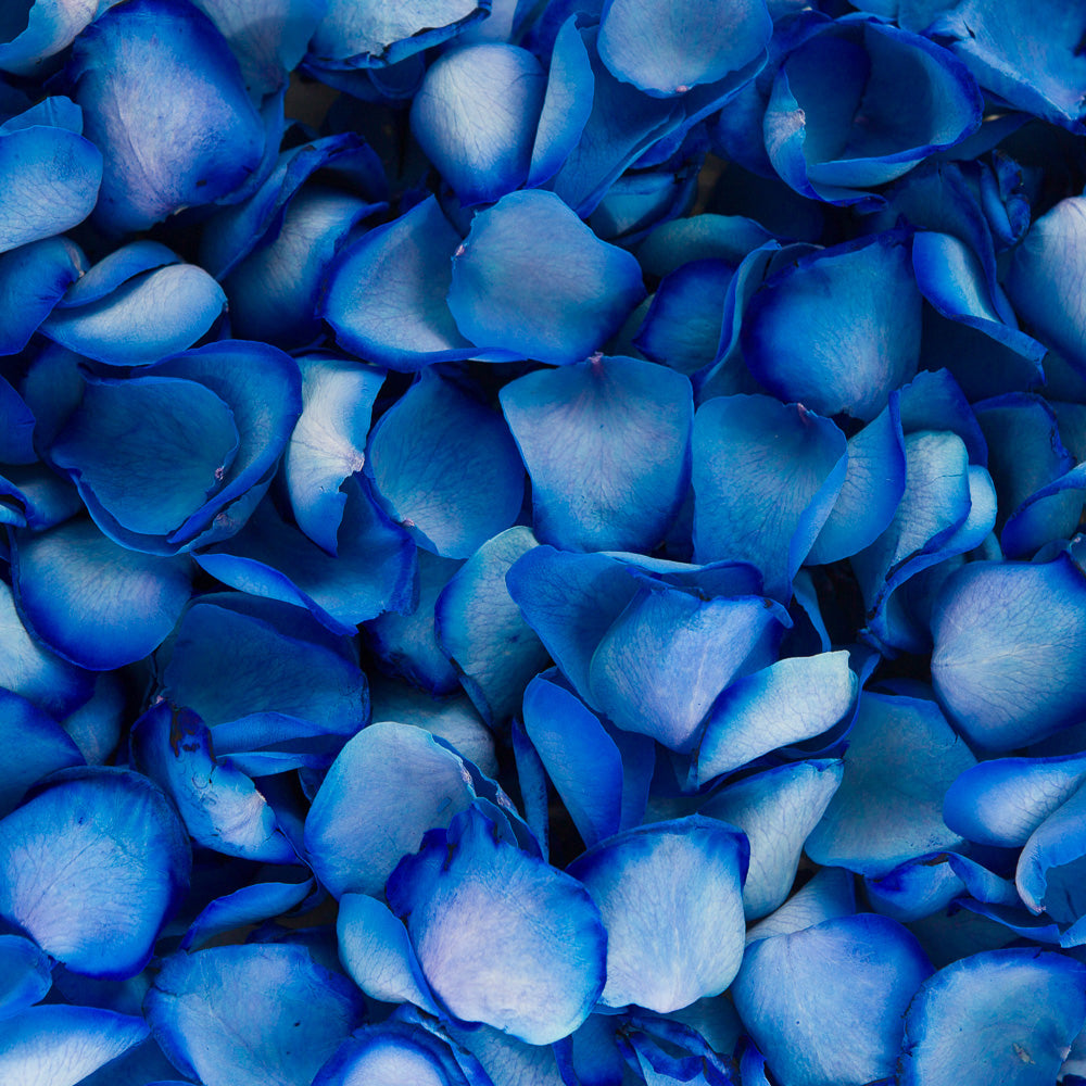 Natural Confetti - Dyed Rose Petals
